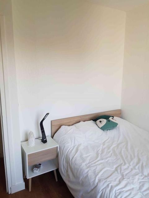 Location appartement T2 Brest - Photo 3