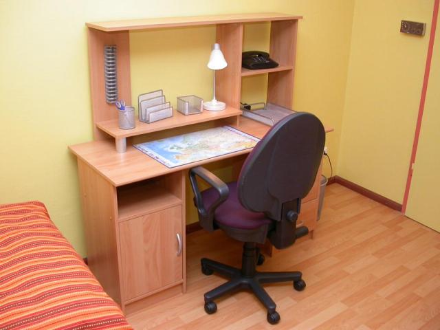 Location appartement T2 Illkirch Graffenstaden - Photo 4