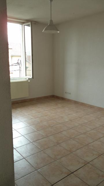Location appartement T2 Lyon 8 - Photo 2
