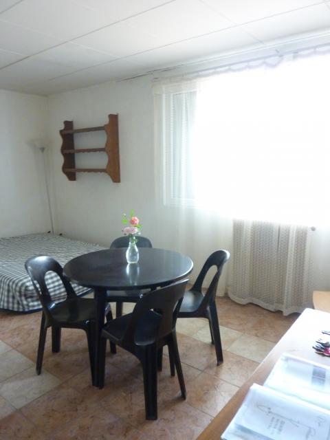 Location appartement T1 Villeurbanne - Photo 1