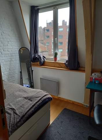 Location appartement T3 Roubaix - Photo 6