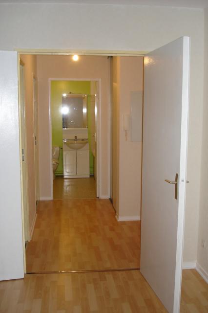 Location appartement T2 Villeurbanne - Photo 5