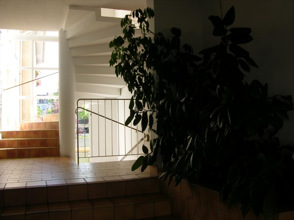 Location chambre Nancy - Photo 1