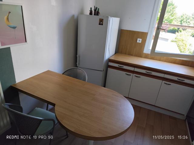 Location appartement T3 Nancy - Photo 6
