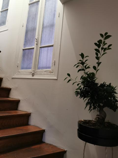 Location chambre Maisons Alfort - Photo 2