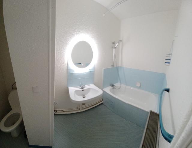 Location appartement T2 Toulouse - Photo 5