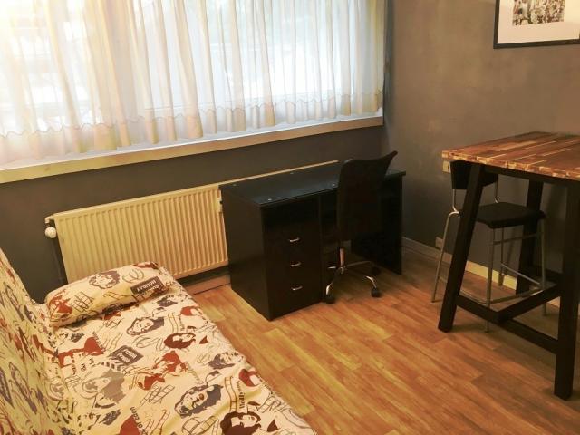 Location de chambre meublée de particulier à particulier à Lille - 480 € -  16 m²