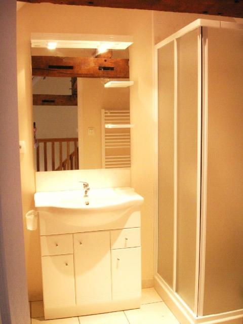 Location appartement T2 La Chapelle St Aubin - Photo 4