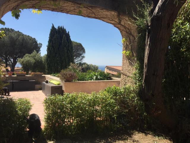 Location appartement T2 Cassis - Photo 4
