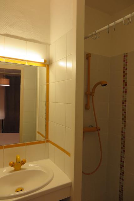 Location appartement T2 Clermont Ferrand - Photo 9