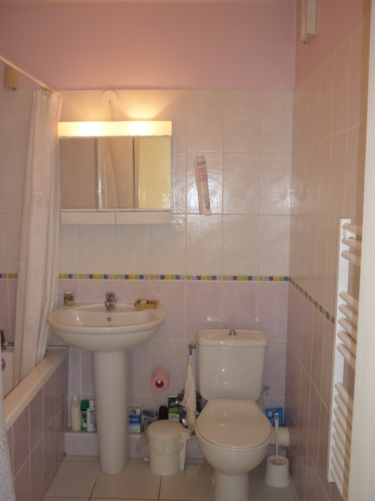 Location appartement T2 Lyon 3 - Photo 2