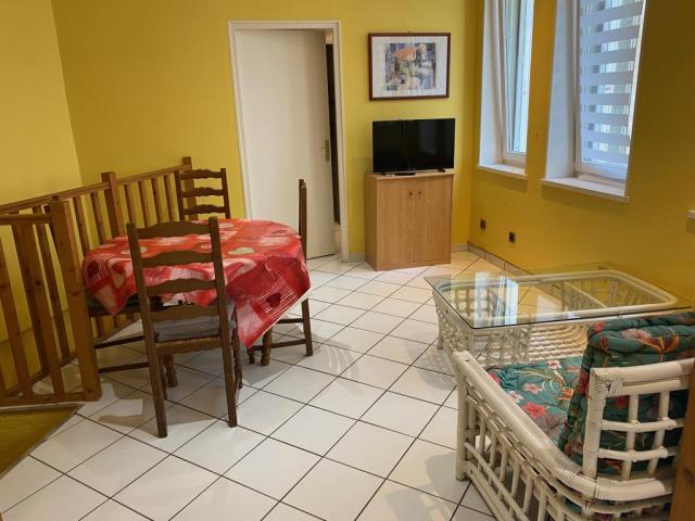 Location appartement T3 Nancy - Photo 3