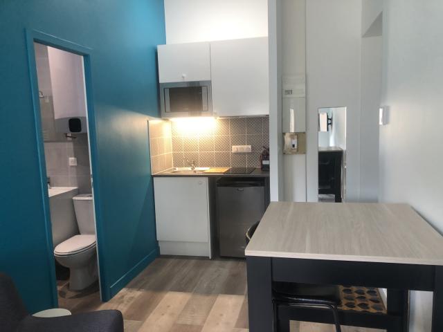 Location appartement T2 Lyon 6 - Photo 3
