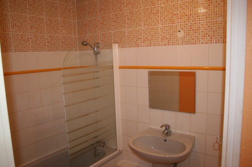 Location appartement T2 Strasbourg - Photo 4