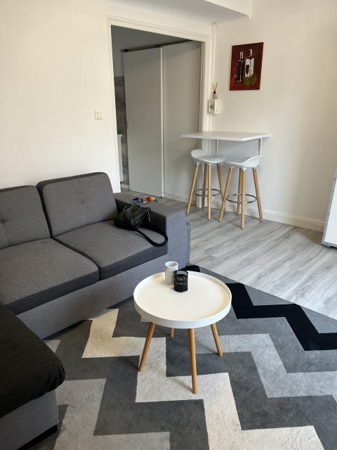 Location appartement T2 Toulouse - Photo 4