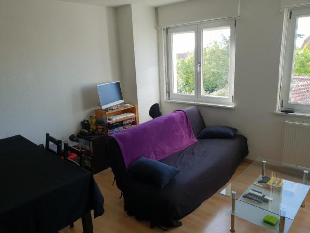 Location appartement T2 Soultz Haut Rhin - Photo 3