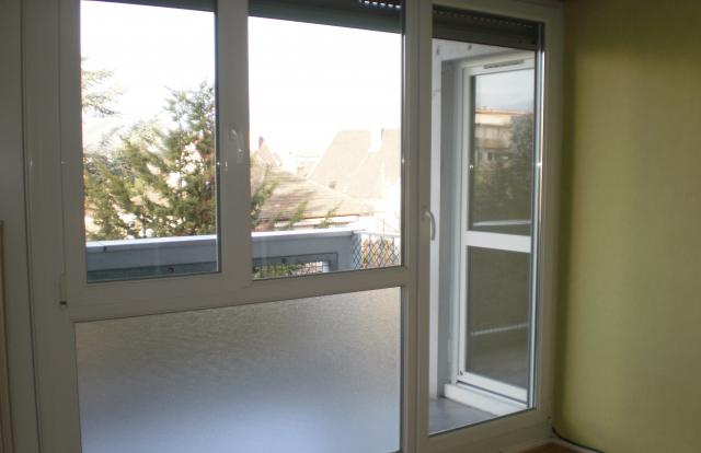Location appartement T3 Colmar - Photo 2