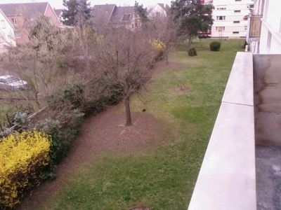 Location appartement T3 Colmar - Photo 6
