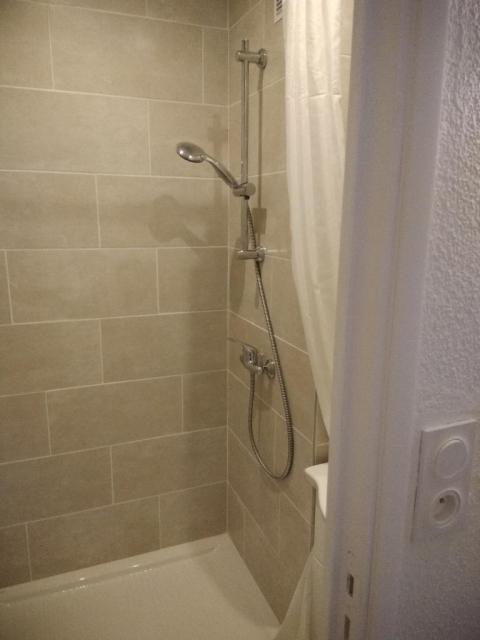 Location appartement T3 Grenoble - Photo 2