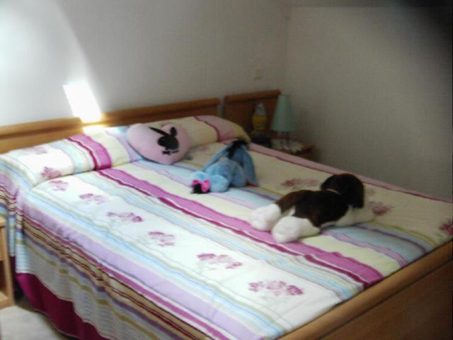 Location appartement T2 Mornant - Photo 5