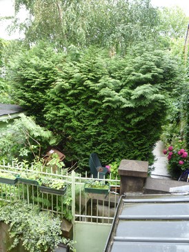 Location appartement T3 Versailles - Photo 5
