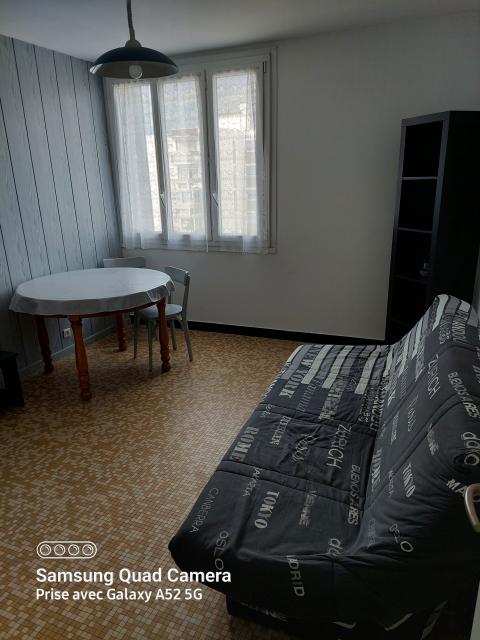 Location appartement T2 Grenoble - Photo 3