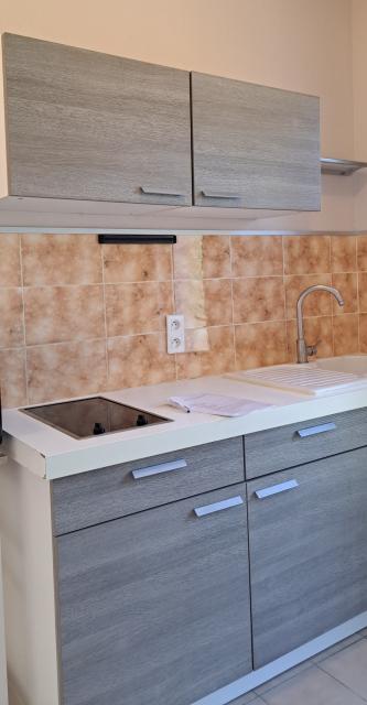 Location appartement T1 Castelnau le Lez - Photo 3