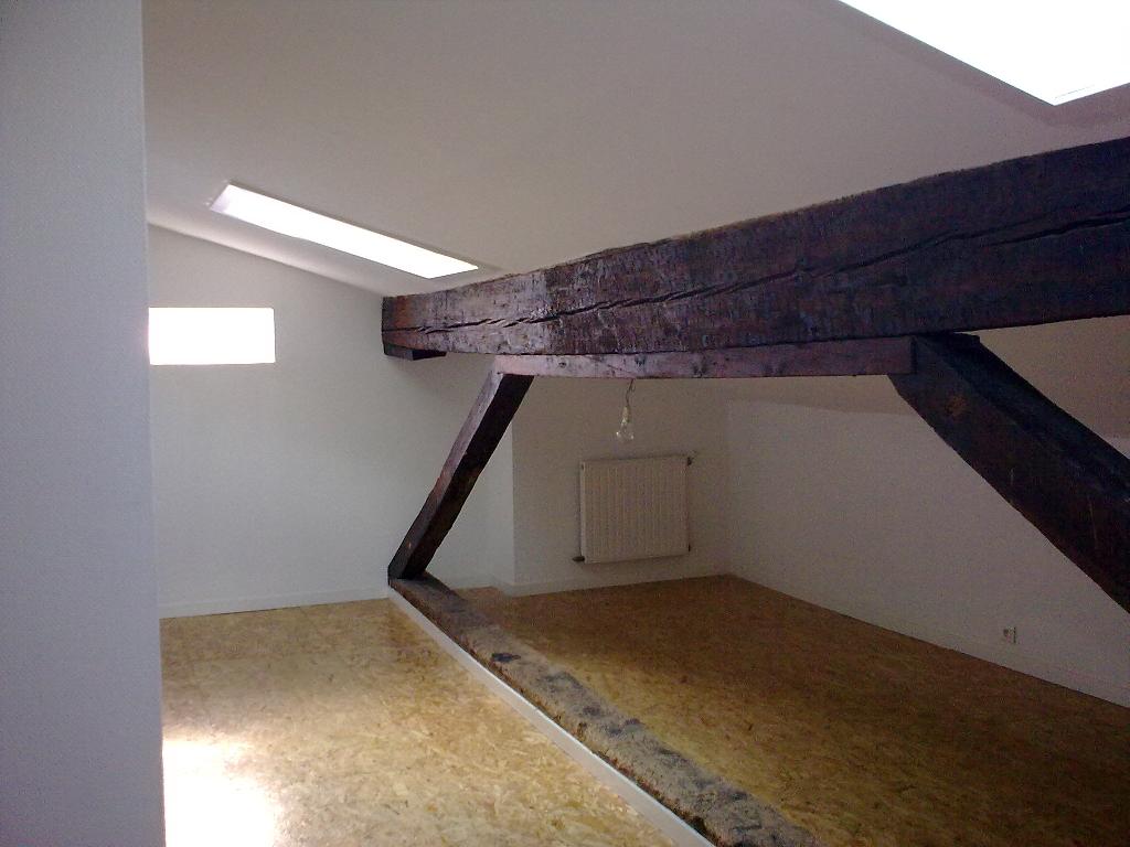 Location appartement T3 Toulouse - Photo 4