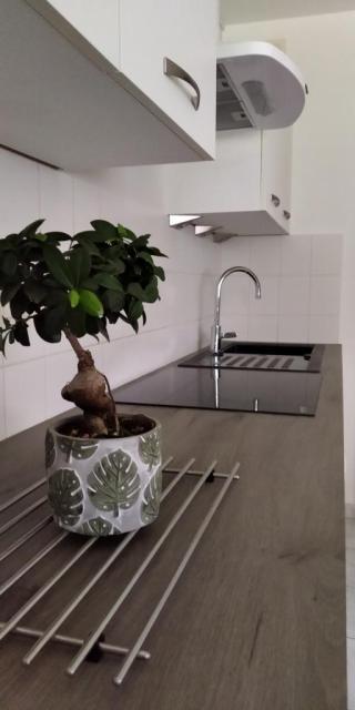 Location appartement T2 Rennes - Photo 3