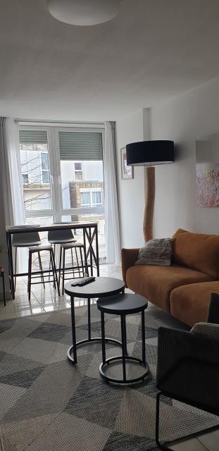 Location appartement T2 Haguenau - Photo 5