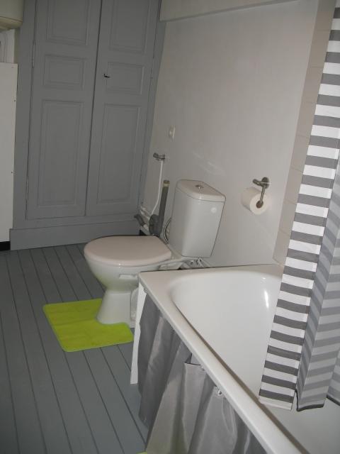 Location appartement T2 Craon - Photo 3