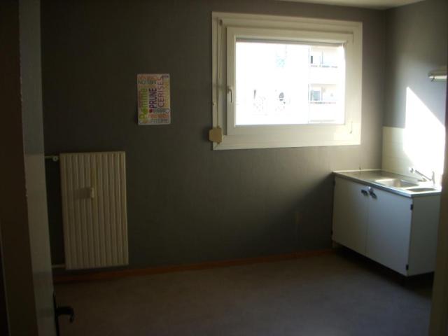 Location appartement T3 Nancy - Photo 2