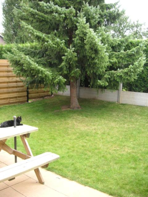 Location maison F5 Houplin Ancoisne - Photo 3