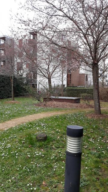 Location appartement T3 Massy - Photo 5