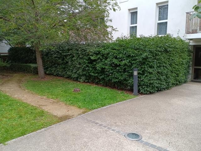 Location appartement T3 Massy - Photo 6