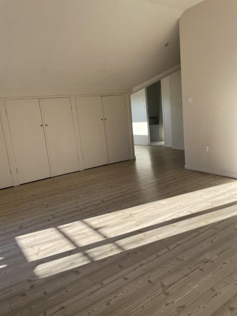 Location appartement T2 Villeurbanne - Photo 5