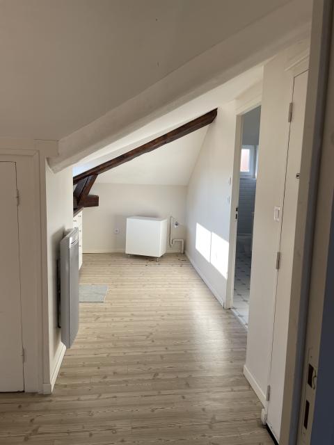 Location appartement T2 Villeurbanne - Photo 8
