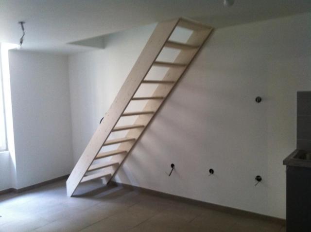 Location appartement T2 Villeurbanne - Photo 1