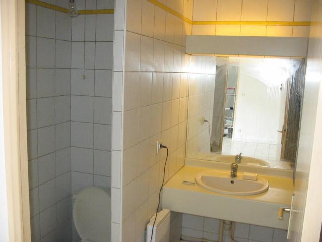 Location appartement T2 Lyon 3 - Photo 4