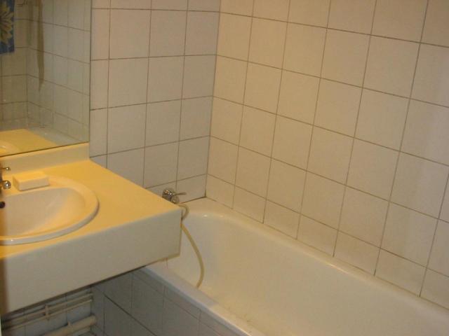Location appartement T2 Lyon 3 - Photo 5
