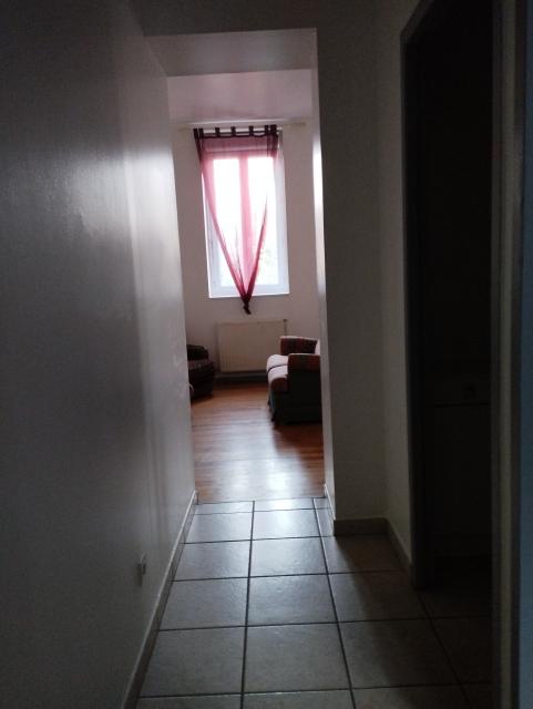 Location appartement T2 St Etienne - Photo 8