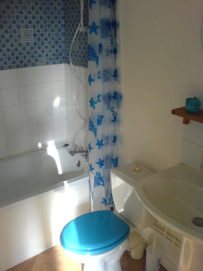 Location appartement T1 Laval - Photo 3
