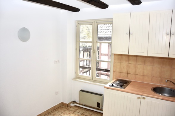 Location appartement T3 Strasbourg - Photo 2