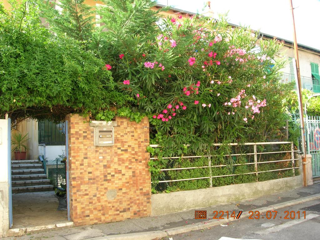 Location chambre Nice - Photo 1