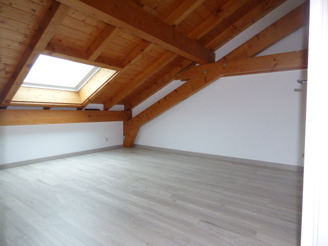 Location appartement T2 Viuz en Sallaz - Photo 4