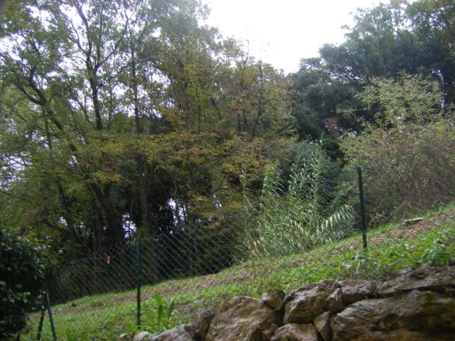 Location appartement T3 Nice - Photo 5