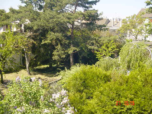 Location appartement T2 Draveil - Photo 2
