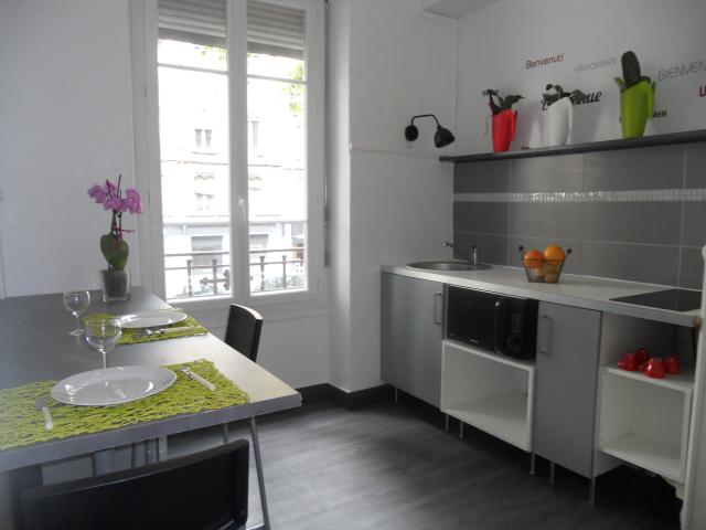 Location appartement T2 Lyon 7 - Photo 3