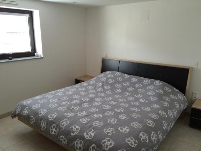Location appartement T2 Hundling - Photo 2