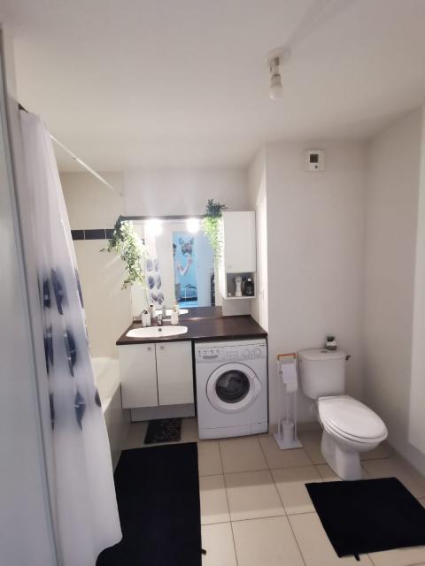 Location appartement T2 St Sebastien sur Loire - Photo 8